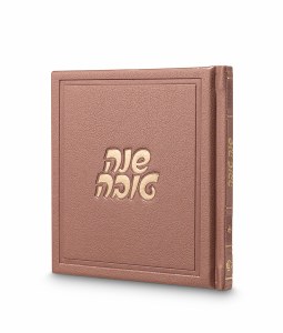 Picture of Faux Leather Square Artistic Seder Simanim Booklet Devash Style Hebrew Edut Mizrach Ksaf Saf 5" [Hardcover]
